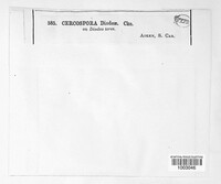 Image Associated With the Occurence